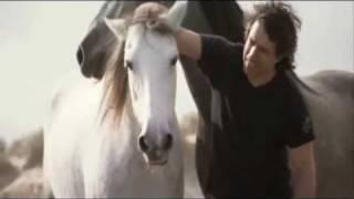 -  - Natural Horsemanship -  -