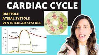 A-level- CARDIAC CYCLE. Diastole atrial systole ventricular systoles +the pressure +volume changes