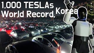 World record 1000 Tesla Light Show in Korea