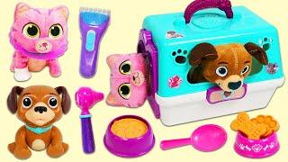 Doc McStuffins Findo and Whispers Visit the Pet Vet Toy Hospital Using On the Go Pet Carriers