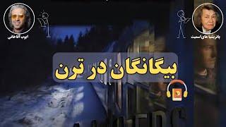 کتاب صوتی بیگانگان در ترن اثر پاتریشیا های‌اسمیت