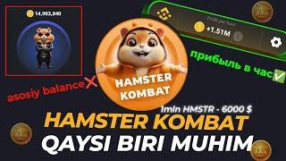 HAMSTER KOMBAT - Pul yechish haqida toliq malumotlar Qaysi bir muhim Прибыл в час Yoki asosiymi ?