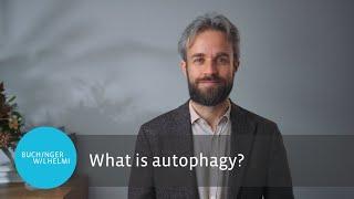 What is autophagy and what are the fasting & autophagy benefits? Explained by Dr. Robin Mesnage