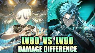 LV80 vs LV90 damage difference?  S0 Jiyan & Jinhsi  Wuthering Waves