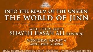 Into the Realm of the Unseen The World of Jinn  Shaykh Hasan Ali