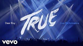 Avicii - Dear Boy Live in Uncasville True Tour 2014