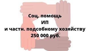 Соц помощь индивидуальному  предпринимателю и частному  подсобному хозяйству 250 000