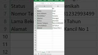 Cara Bikin titik dua Selalu sejajar di Excel #exceltips