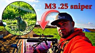 M3 .25 700mm control de plaga caza de ardilla #controldeplagas #pestcontrol   monchis