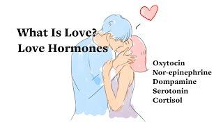 What is Love? Oxytocin and Other Love Hormones