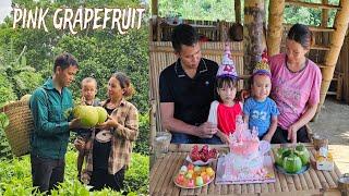 Spreading love Happy birthday to daughter Quynh Nhu 5 years old - Harvesting pink grapefruit