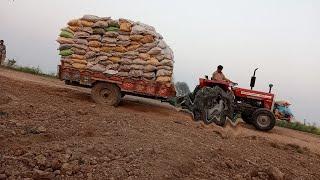 MF 260 Performance with load potato trola MF 260 dangerous tractor stunt