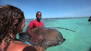 Stingray City Bahamas Official Video