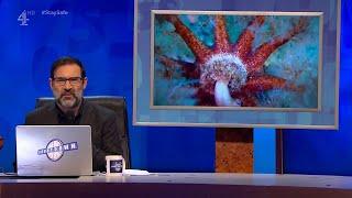 Adam Buxtons nature DJ 8 Out of 10 Cats Does Countdown S20E03 - 14 August 2020