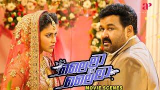 Lailaa O Lailaa Malayalam Movie  Where is Mohanlal on the day of his wedding?  Mohanlal  Amala