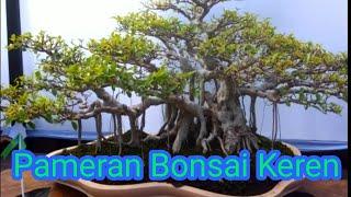 Pameran Bonsai Nasional Kontes Terbaik  Bonsai Terbaik Terindah