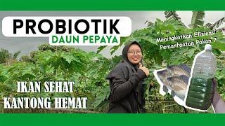 IKAN SEHAT KANTONG HEMAT - PROBIOTIK UNTUK BUDIDAYA IKAN NILA