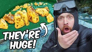 Diver Finds Where The BIG GOLD Nuggets Are