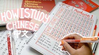 How I study Chinese - study vlog  study languages with me