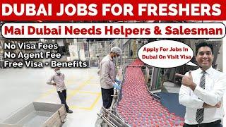 How To Apply Jobs In Dubai For Freshers