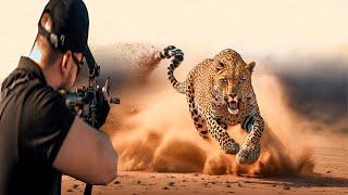 A breathtaking confrontation between a leopard and a hunter part 5