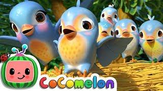 Five Little Birds 3  CoCoMelon Nursery Rhymes & Kids Songs