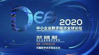 直播回看：DES2020 中小企业数字经济全球论坛 Global Digital Economy Forum for Small and Medium Enterprises 2020