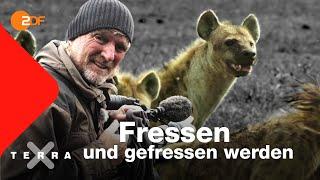 Kreislauf des Lebens?  Andreas Kieling  Ganze Folge  Terra X