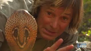 Austin Stevens  Snakemaster - In Search of the King Cobra