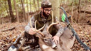 8 POINT BUCK - SHOT WITH RECURVE BOW