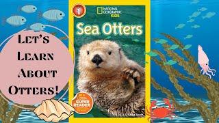 Sea Otters  Kids Book Read Aloud  Non Fiction Books