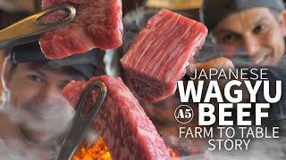 Japanese Wagyu Beef Story from Farm to Table  ONLY in JAPAN