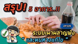 5 อาการระบบเผาผลาญพังและหนทางแก้ไข   คลิปสรุป EP229