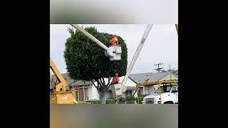 #shorts BUCKET TRUCKS in Action