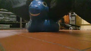 Rody inflatable horse bounce pop