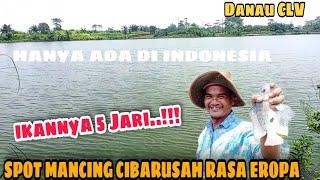 SPOT MANCING LIAR CIKARANG CIBARUSAHDANAU CLV MANCING DISINI SERASA MANCING DI LUAR NEGERI EROPA.