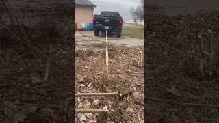 How to pull a tree stump out of the ground