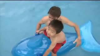 Inflatable ride on pool toys