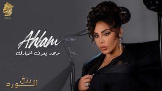 أحلام - محد يعرف اخبارك  ألبوم رزق الورد   2023  Ahlam - Ma7ad Y3rof Akhbarak