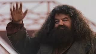 Actor Robbie Coltrane has died