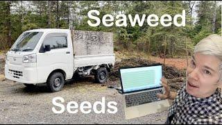 Surprise Seaweed 2024 Garden Plan & Seed Order