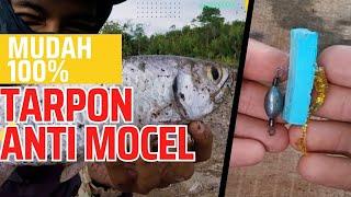 Tutorial Membuat Rangkaian terbaik untuk Ikan Bulan-Bulan  Tarpon  rangkaian tarpon anti mocel