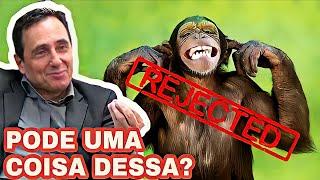 Descendentes de Macacos Pode uma Coisa Dessa?