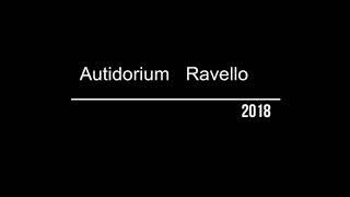 Auditorium Oscar Niemeyer Ravello gli interventi