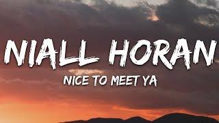 Niall Horan - Nice To Meet Ya Lyrics