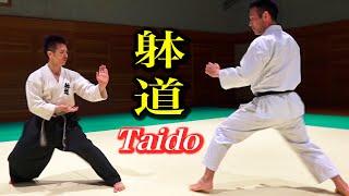 Karate and Taido what happened? English subtitles