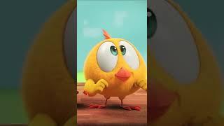 ¿Chicky conoce a su madre? #cuteanimals #Shorts #oggy  Cartoon for kids