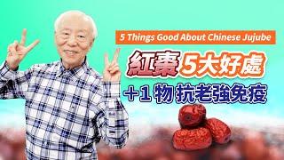 5 Things Good About Chinese Jujube