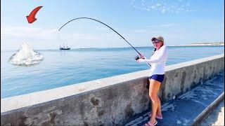 Tossing Live Minnows Under a Seawall for Dinner Catch & Cook