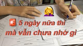 Chạy nước rút môn Văn trong 5 ngày trước khi thi TS10  Văn vào 10  Gia Nghi Vănner